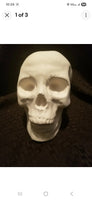 Large Human Skull Ready to Paint Unpainted Ceramic Bisque