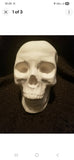 Large Human Skull Ready to Paint Unpainted Ceramic Bisque