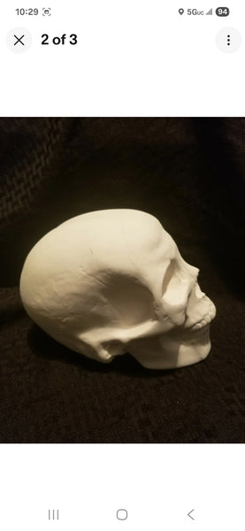 Large Human Skull Ready to Paint Unpainted Ceramic Bisque