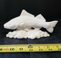 Fish on Rocks Animal Ceramic Bisque Ready To Paint