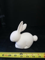 Chocolate Easter Cotton Tail Bunny Rabbit Animal