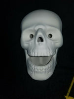 Cut Out Halloween Skeleton Skull Head Ready to Paint